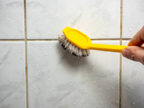  Mount Zion, IL Mold Removal Pros