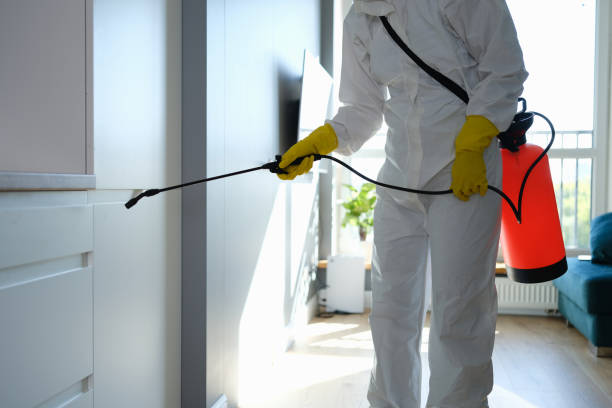 Best Crawl Space Mold Removal  in Mount Zion, IL