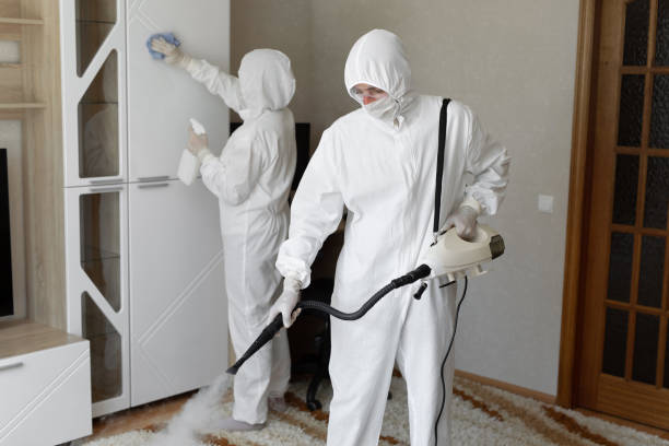 Crawl Space Mold Removal in Mount Zion, IL